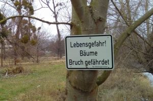 Schild am Baum: "Lebensgefahr! Bäume Bruch gefährdet"